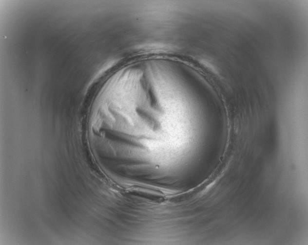 X0000065971309200603241903