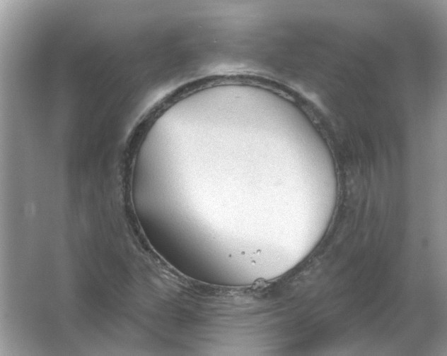 X0000065971311200603241903