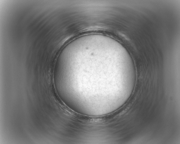 X0000065971313200603241903