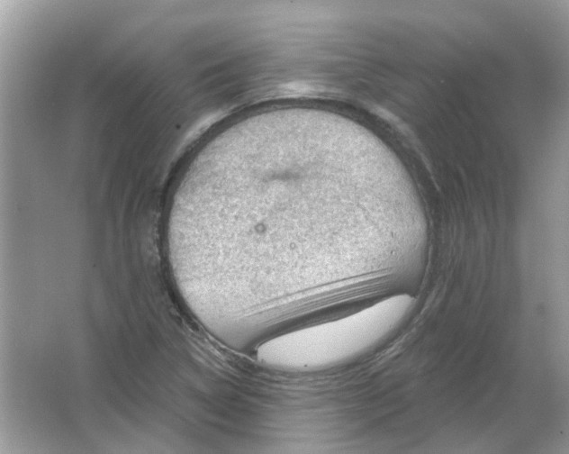 X0000065971314200603241903