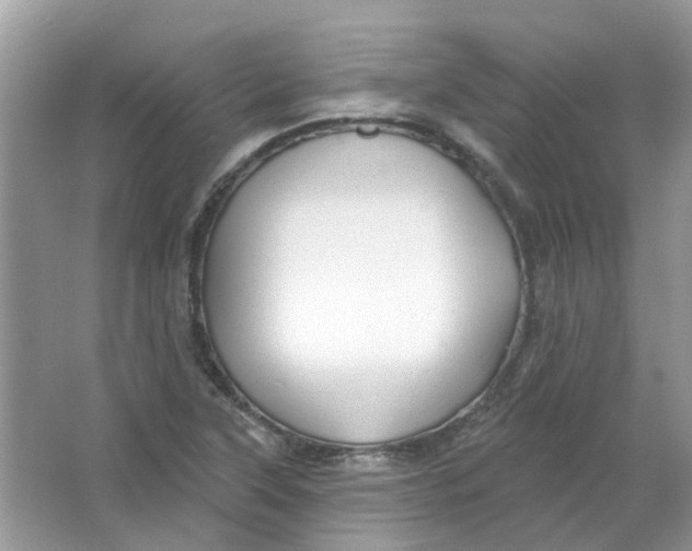 X0000065971315200603241903