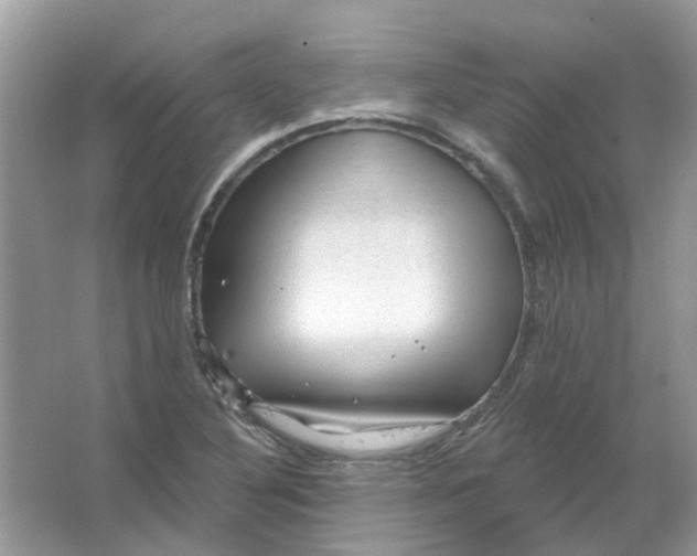 X0000065971316200603241903