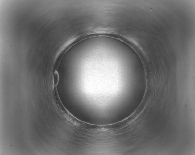 X0000065971317200603241903