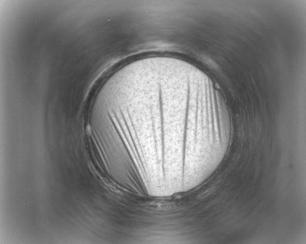 X0000065971318200603241903