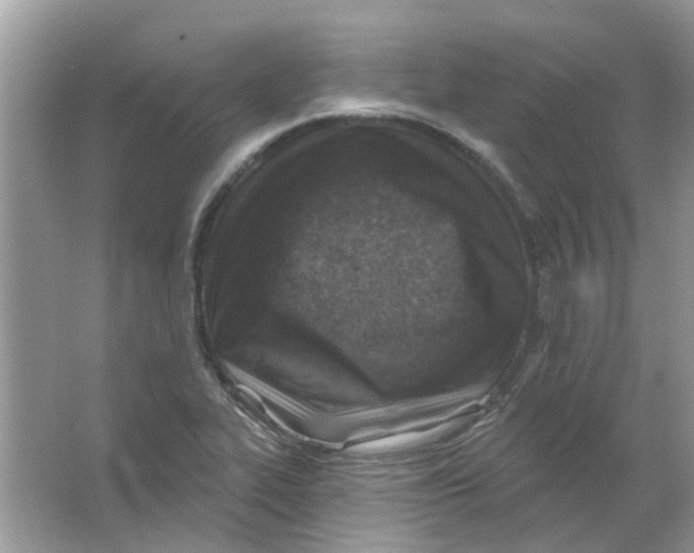 X0000065971319200603241903