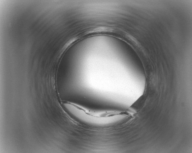 X0000065971321200603241903