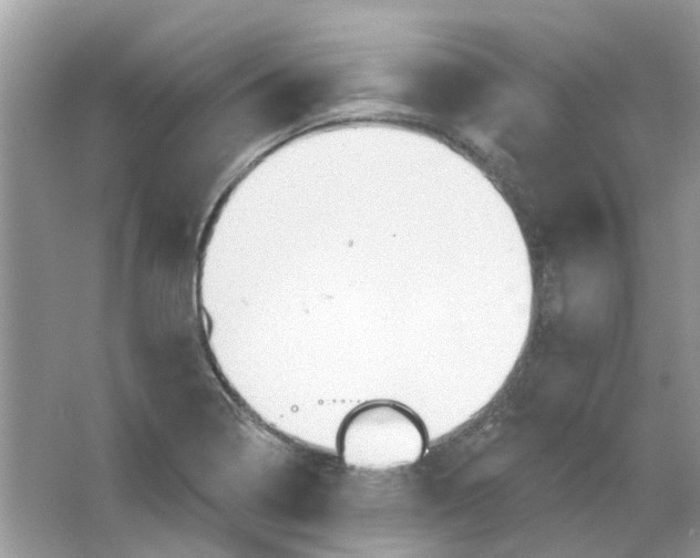 X0000065971322200603241903