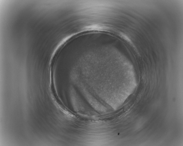 X0000065971323200603241903