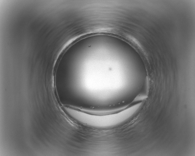 X0000065971324200603241903