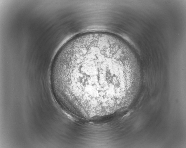 X0000065971325200603241903