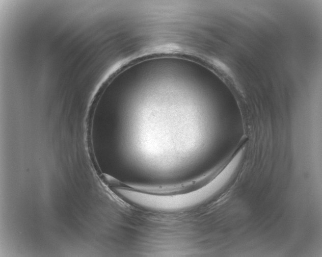 X0000065971326200603241903