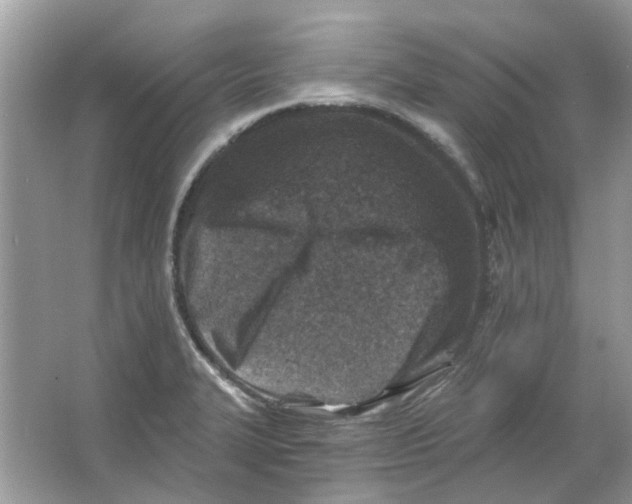 X0000065971327200603241903