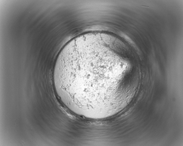 X0000065971329200603241903