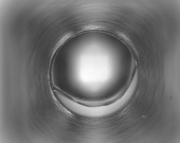 X0000065971330200603241903