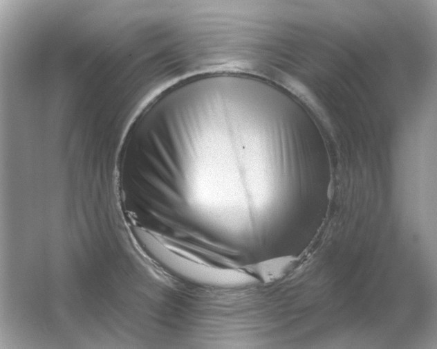 X0000065971332200603241903