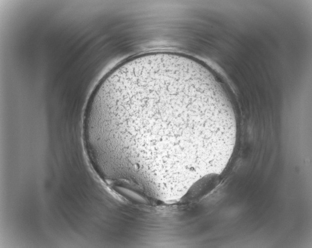 X0000065971333200603241903