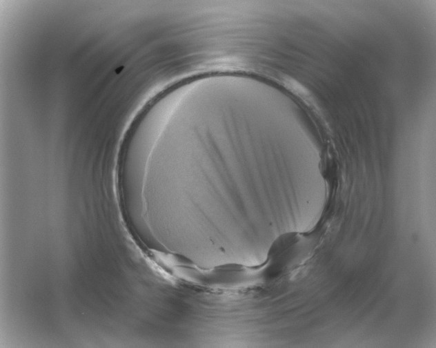 X0000065971334200603241903