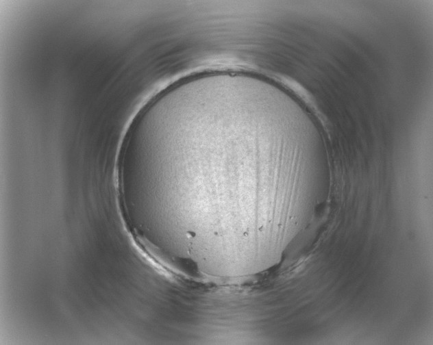 X0000065971335200603241903