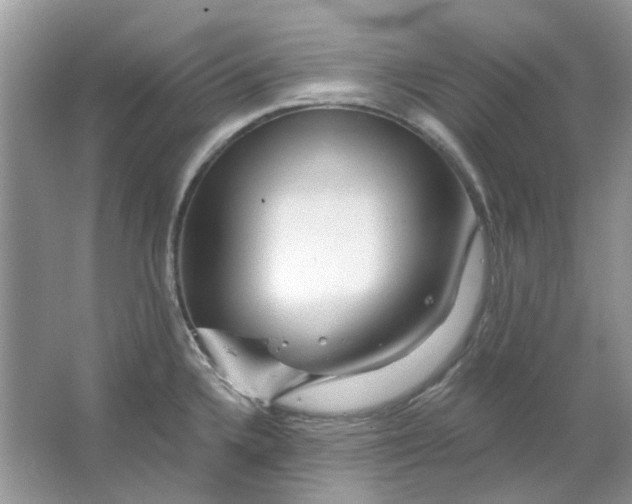 X0000065971336200603241903