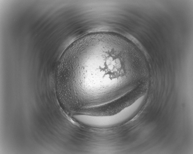 X0000065971337200603241903