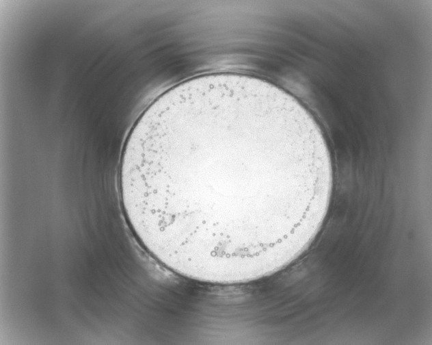 X0000065971338200603241903