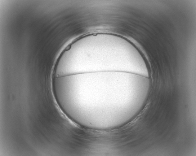 X0000065971341200603241903