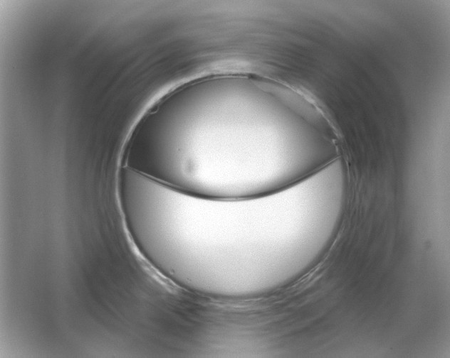 X0000065971342200603241903