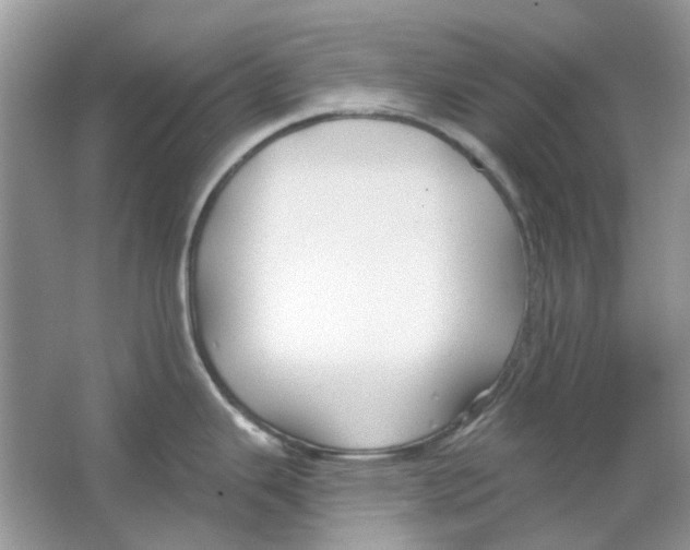 X0000065971343200603241903