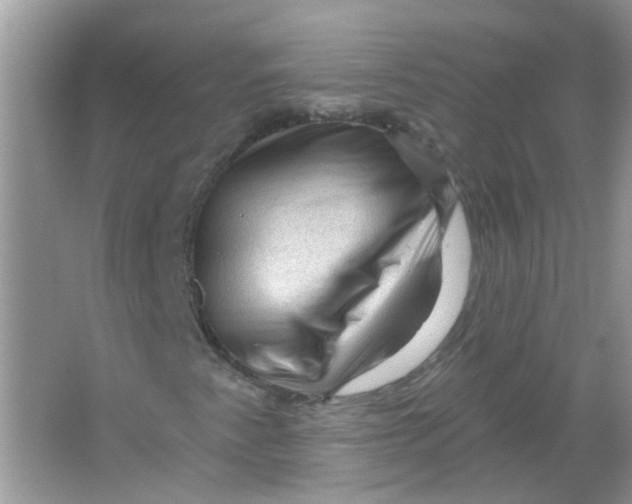 X0000065971345200603241902