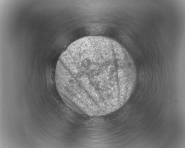 X0000065971346200603241902