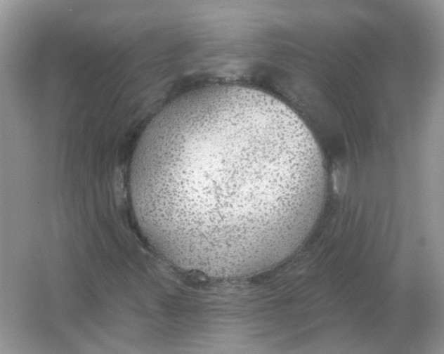 X0000065971347200603241902