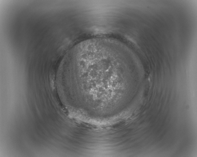 X0000065971348200603241902