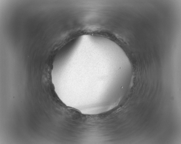 X0000065971349200603241902