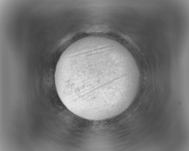 X0000065971350200603241902