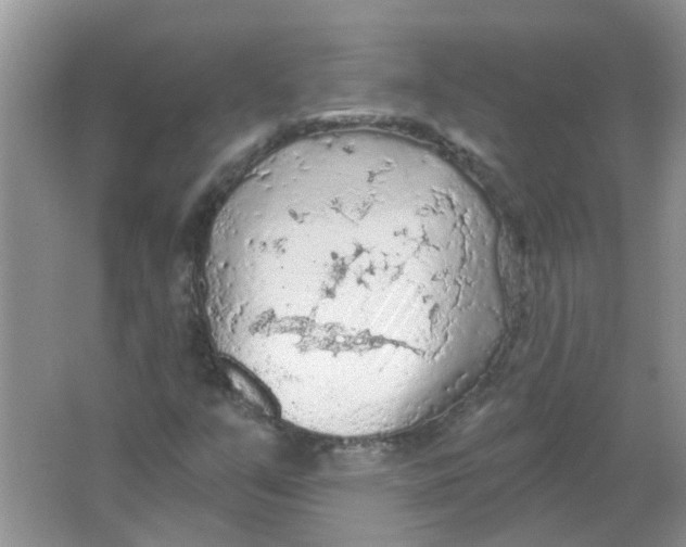 X0000065971351200603241902