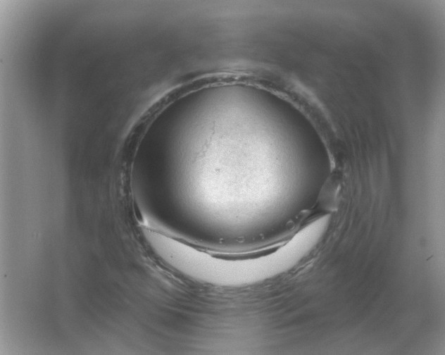 X0000065971352200603241902