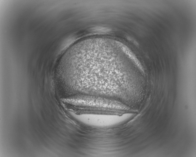 X0000065971354200603241902