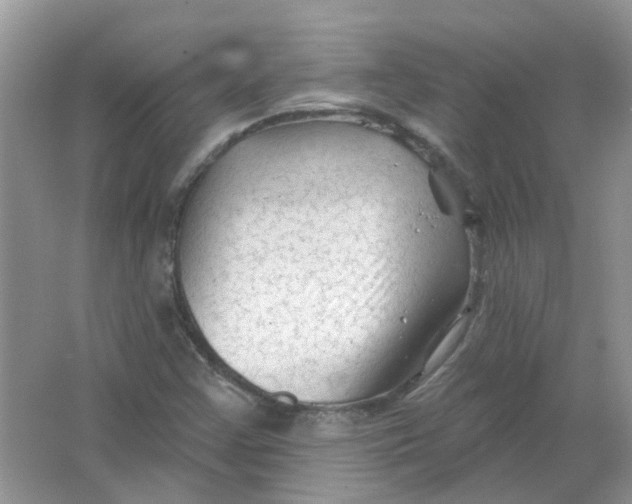 X0000065971355200603241902