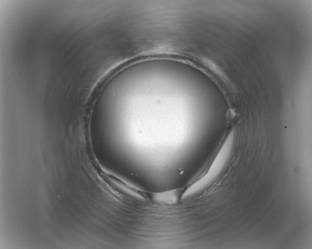 X0000065971356200603241902