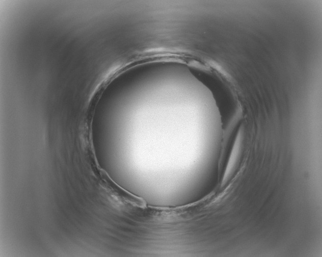 X0000065971357200603241902