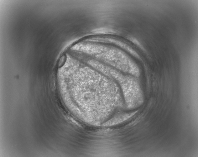 X0000065971358200603241902