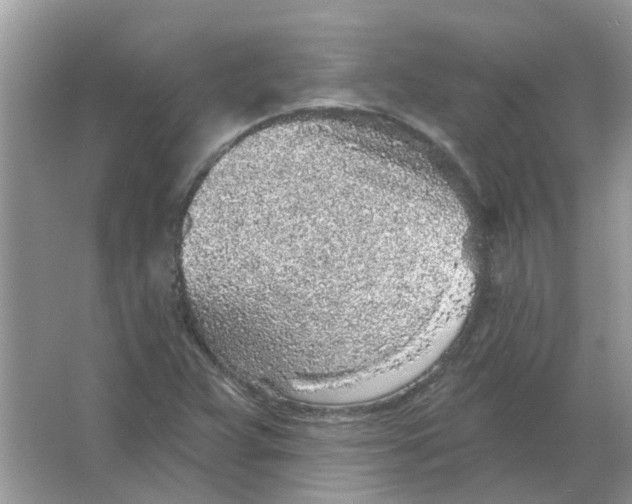 X0000065971359200603241902