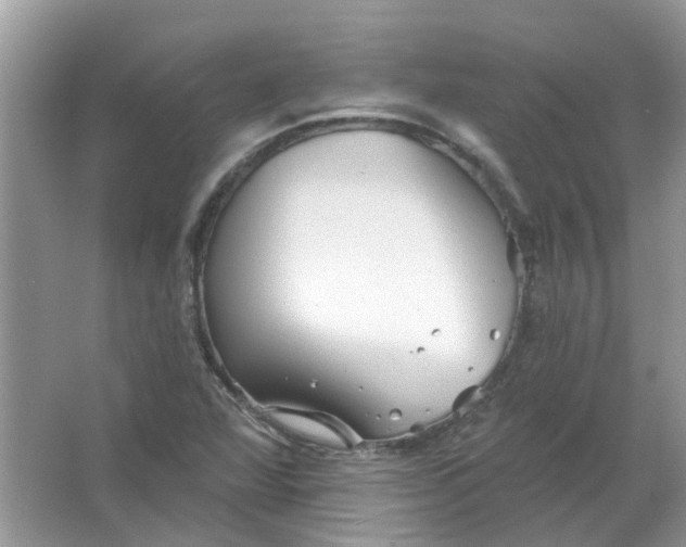 X0000065971360200603241902