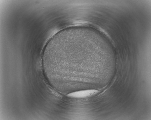 X0000065971362200603241902