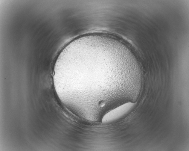 X0000065971363200603241902