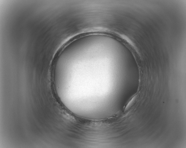 X0000065971364200603241902