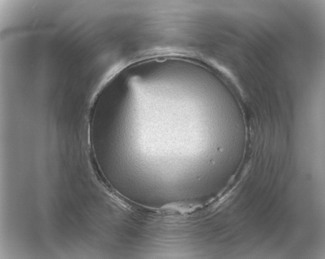 X0000065971365200603241902