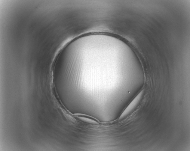 X0000065971366200603241902