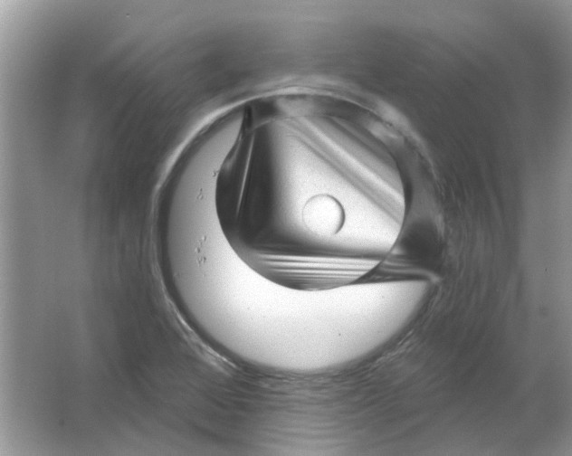 X0000065971368200603241902