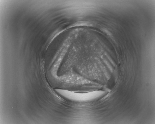 X0000065971369200603241902